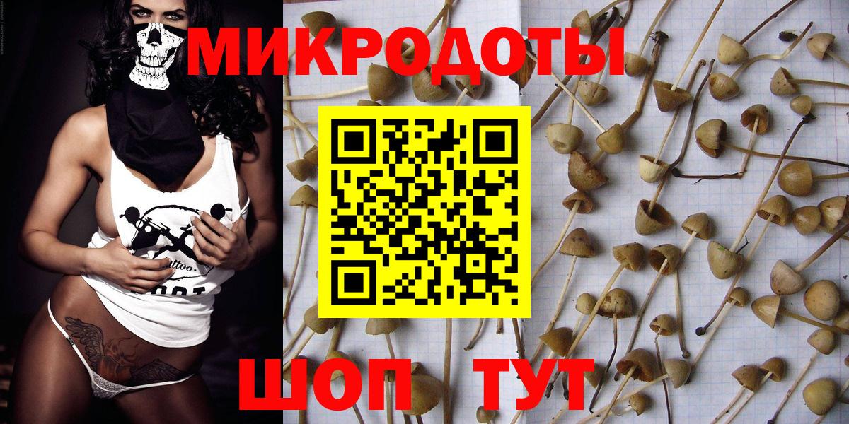 Псилоцибиновые грибы ЛСД Салават