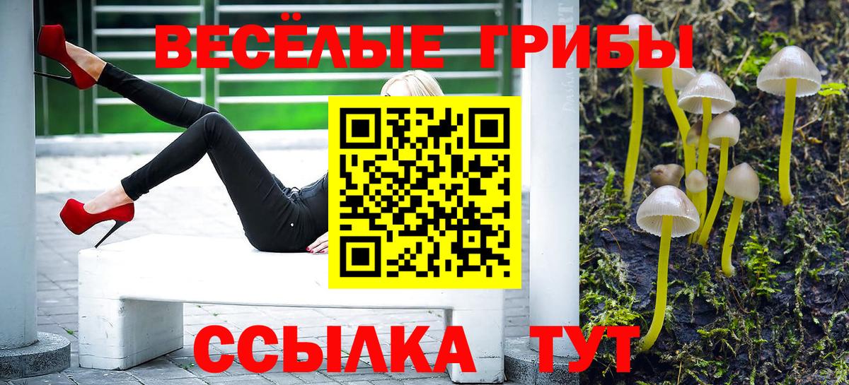 Псилоцибиновые грибы прущие грибы  Вход с VPN  Салават 